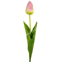 Tulipán, cirmos élénk rózsaszín, 56 cm