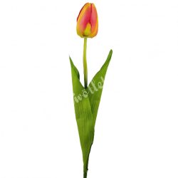 Tulipán, cirmos kármin-napsárga, 56 cm