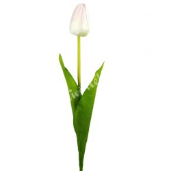 Tulipán, fehér-pasztell rózsaszín, 56 cm