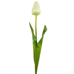 Tulipán, vanília-lime, 56 cm
