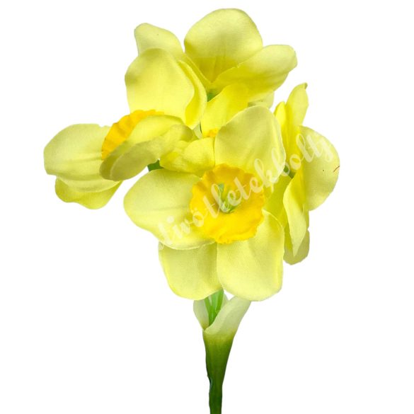 Szálas nárcisz, sárga, 45 cm