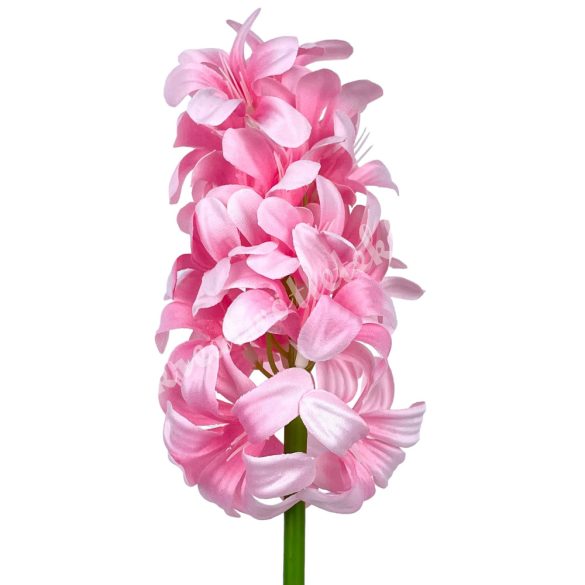 Szálas jácint, rózsaszín, 48 cm