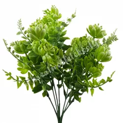 Kövirózsa csokor levelekkel, hamvas zöld, kb. 30 cm