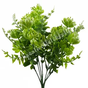 Kövirózsa csokor levelekkel, hamvas zöld, kb. 30 cm