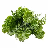 Kövirózsa csokor levelekkel, hamvas zöld, kb. 30 cm