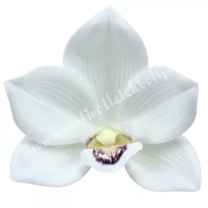Polifoam orchideafej, fehér, 9 cm