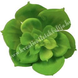 Kövirózsa, zöld, 4,5x4 cm