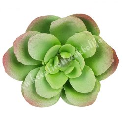 Kövirózsa, halványzöld-rózsaszín, 6x2,5 cm