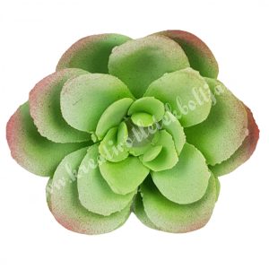 Kövirózsa, halványzöld-rózsaszín, 6x2,5 cm