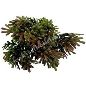 Tuja csokor, zöld-barna, 33 cm