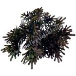 Tuja csokor, zöld-bordó, 33 cm