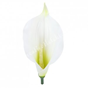 Kála virágfej, fehér-zöld, 14 cm
