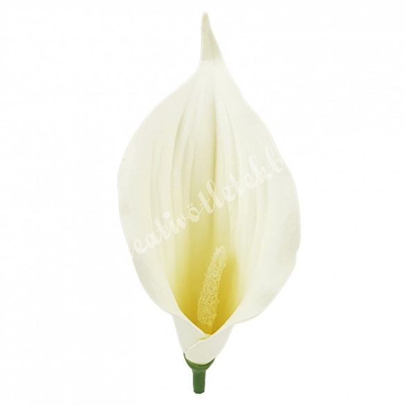 Kála virágfej, krém, 13 cm