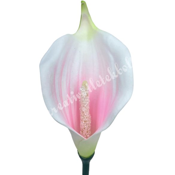 Kála virágfej, fehér-rózsaszín-zöld, 13 cm