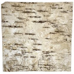 Nyírfakéreg lap, 10x10 cm