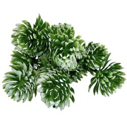 Kövirózsa csokor, zöld-fehér, 27 cm