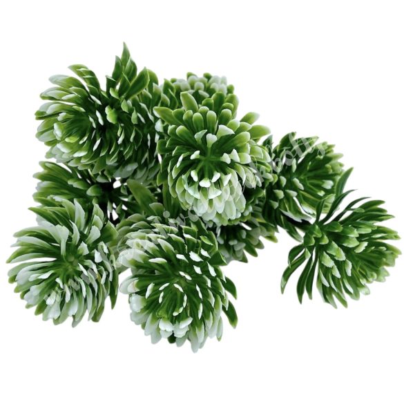 Kövirózsa csokor, zöld-fehér, 27 cm