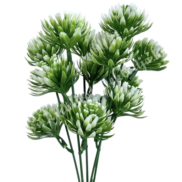 Kövirózsa csokor, zöld-fehér, 27 cm