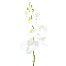 Gumi orchidea, fehér, 78 cm