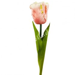 Papagáj tulipán, cirmos lazac-rózsaszín, 60 cm