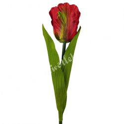 Papagáj tulipán, piros-zöld, 60 cm