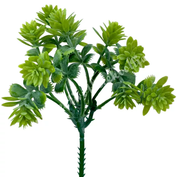 Pozsgás ág, zöld, 20 cm