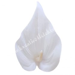 Kála virágfej, fehér, 10 cm