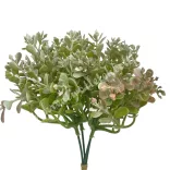 Eukaliptusz köteg, hamvas zöld-rózsaszín, 18 cm