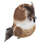 Csipeszes bagoly, világosbarna, 5,5x9 cm