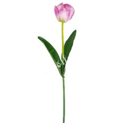 Tulipán szálas, élénk rózsaszín, 45 cm