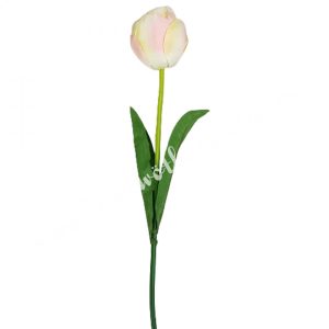 Tulipán szálas, halvány rózsaszín, 45 cm