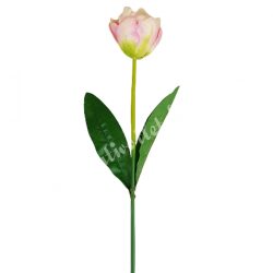 Tulipán szálas, rózsaszínes, 45 cm