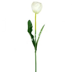 Tulipán szálas, törtfehér, 45 cm