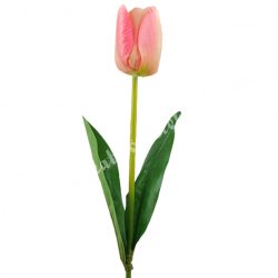 Tulipán, cirmos élénk rózsaszín, 46 cm