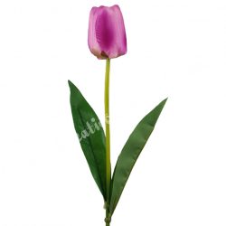 Tulipán, cirmos lila, 46 cm