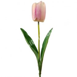 Tulipán, cirmos lilás rózsaszín, 46 cm