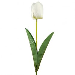 Tulipán, fehér, 46 cm
