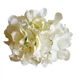 Hortenzia fej, törtfehér, 15 cm