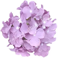 Hortenzia fej, vintage lila, 15 cm