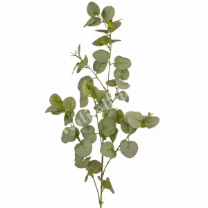 Eukaliptusz ág, zöld, 90 cm