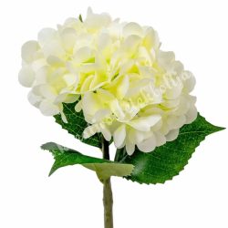 Hortenzia szál, krém, 33 cm