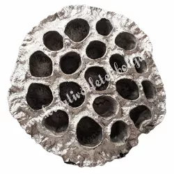 Lótusz, ezüst, 5-8 cm