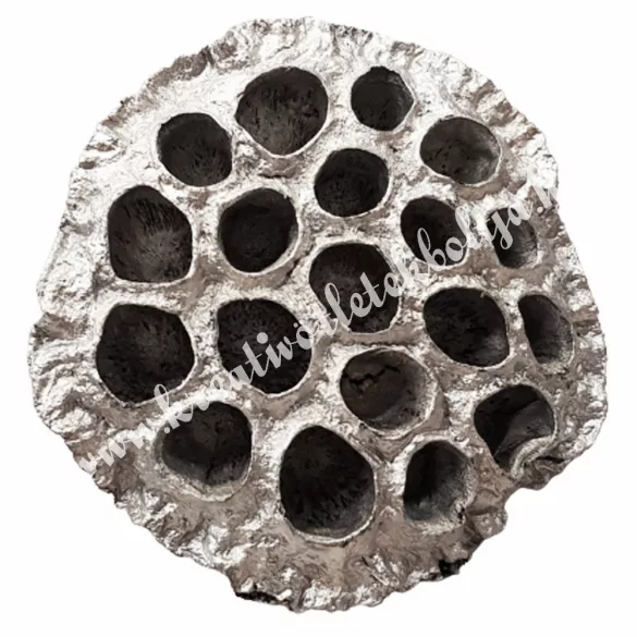 Lótusz, ezüst, 5-8 cm