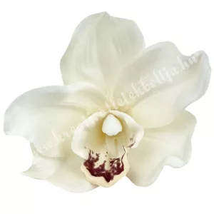 Orchideafej, krém, 10 cm