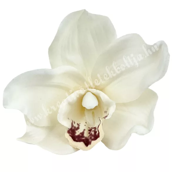 Orchideafej, krém, 10 cm