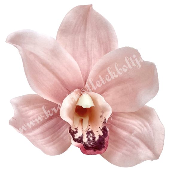 Orchideafej, rózsaszín, 10 cm
