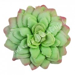 Kövirózsa, zöld-rózsaszín, 6,5x2,5 cm