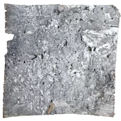 Nyírfakéreg lap, szürke, 15x15 cm