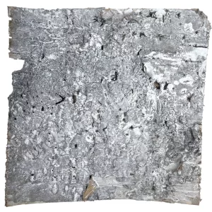 Nyírfakéreg lap, szürke, 15x15 cm