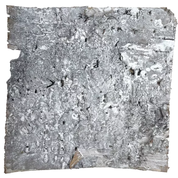 Nyírfakéreg lap, szürke, 15x15 cm